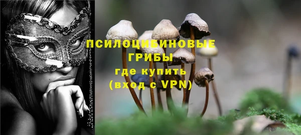 ешки Вязники