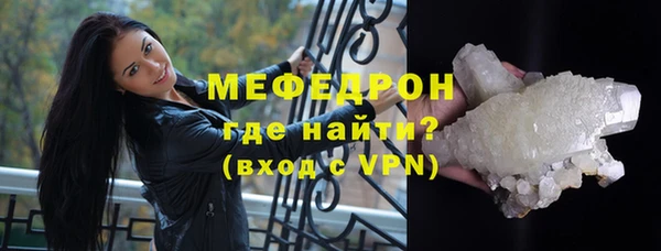 стаф Вяземский