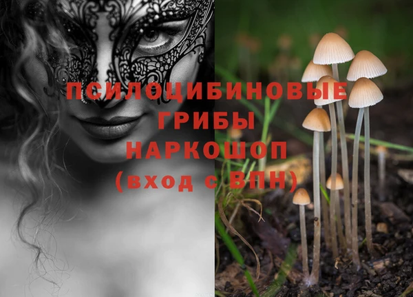 стаф Вяземский