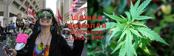 прущие крисы Вязьма