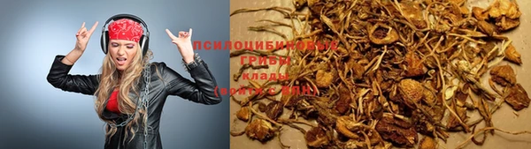 стаф Вяземский